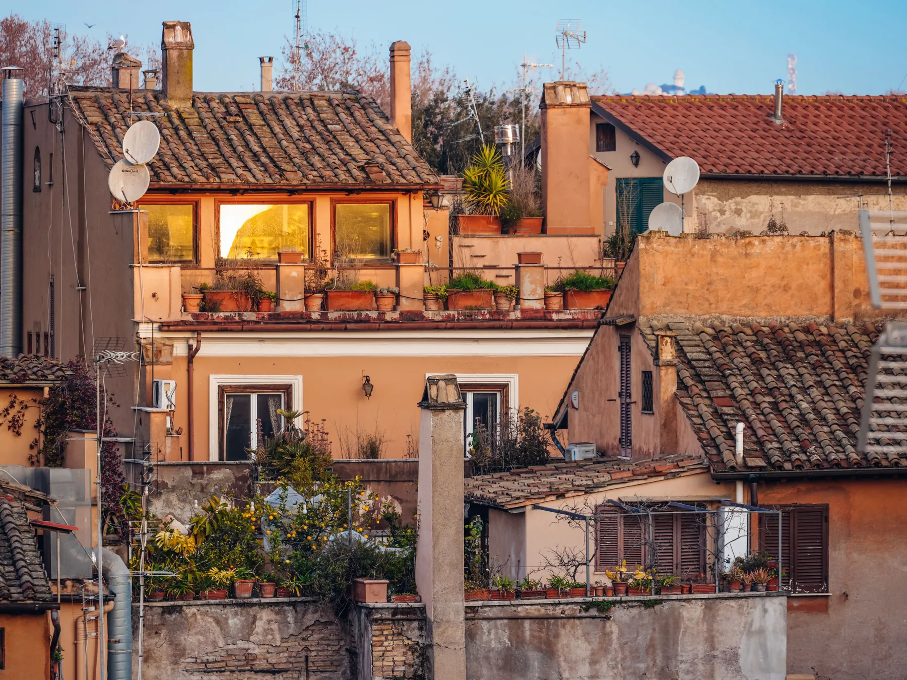 Terracotta-tiled Roman rooftops and rooftop gardens glowing in low evening sunlight